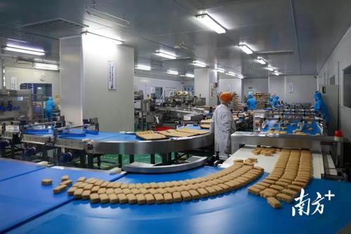 東莞市政府發布2022年一號文，大力推動數字經濟高質量發展與金融服務深度融合